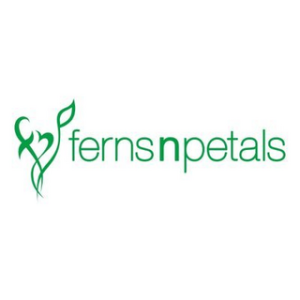 Fnp coupon 40%, Fnp promo code, Fnp discount code, best Fnp deals, how to save on Fnp, Fnp voucher
