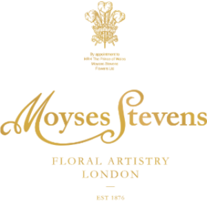 Moysesflowers coupon 15%, Moysesflowers promo code, Moysesflowers discount code, best Moysesflowers deals, how to save on Moysesflowers, Moysesflowers voucher