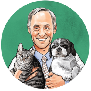 Drmartypets coupon 15%, Drmartypets promo code, Drmartypets discount code, best Drmartypets deals, how to save on Drmartypets, Drmartypets voucher
