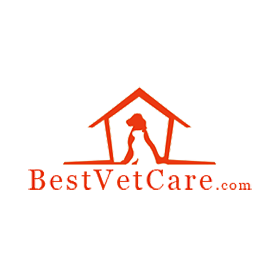 Bestvetcare coupon 20%, Bestvetcare promo code, Bestvetcare discount code, best Bestvetcare deals, how to save on Bestvetcare, Bestvetcare voucher
